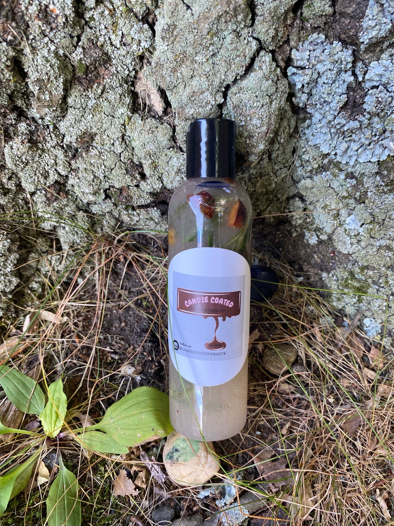 Seamoss Pre-Poo Conditioner — organic Irish sea moss with star anise and botanical herbs